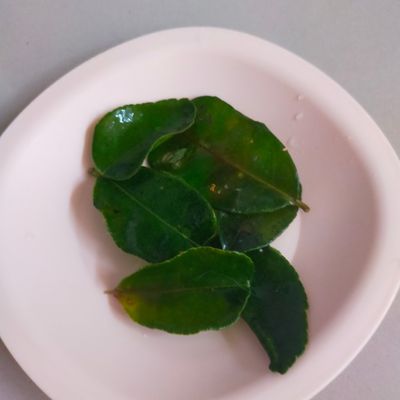 Langkah 1