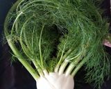 Foto del paso 1 de la receta: Gratén de hinojo