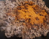Foto del paso 2 de la receta: Tacos mexicanos de ternera picada