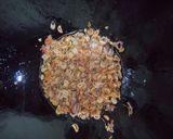Foto langkah ke 6 dari resep Bawang Goreng.