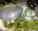 A picture of step 6 of Summer Special Lemon Mint Virgin Mojito.