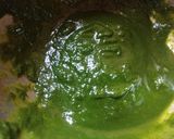 A picture of step 1 of Spinach Christmas Cake.