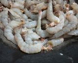 Foto langkah ke 2 dari resep 75. Udang Cah Buncis.