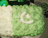 A picture of step 22 of Pakistan's Flag Themed Cake.