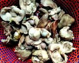 Foto langkah ke 1 dari resep Sayur Cabai Hijau Khas Cirebon.