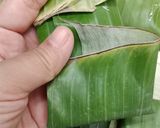 Foto langkah ke 5 dari resep Brusbus Pisang / Lepet Ketan Pisang (Khas Palembang).
