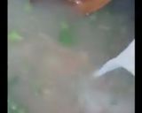 A picture of step 3 of Chicken vegetable corn soup.