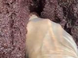 سمائية