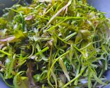 Foto langkah ke 1 dari resep #29 Sayur lemak pakis.