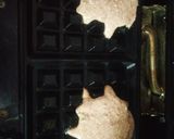 A picture of step 3 of Ragi Savoury Waffle.