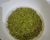 Foto langkah ke 1 dari resep Sari Kacang Hijau.
