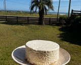 Foto del paso 5 de la receta: Postre helado de duraznos