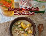 Foto langkah ke 6 dari resep Sayur Lodeh Tempe Semangit.