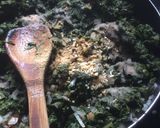 Foto del paso 11 de la receta: Masa Hojaldre de aceite
