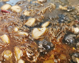 Foto del paso 6 de la receta: Fideuá Negra con Sepia y Cigalas
