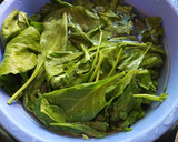 பாலக் கீரை சாதம்(palak rice recipe in tamil) ரெசிபி ஸ்டேப் 1 புகைப்படம்