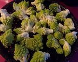 Foto del paso 1 de la receta: Romanescu gratinado con setas y salsa holandesa