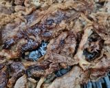 Foto langkah ke 2 dari resep Beef Slice Barbeque.