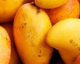 ફ્રોઝન કેરીનો રસ(frozen Aamras recipe in gujarati) રેસીપી સ્ટેપ1ફોટો