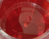 A picture of step 2 of Lemon rooh afza.