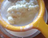 Foto del paso 1 de la receta: Yogur de pajaritos (kéfir casero)