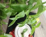 Une image de l'étape 6 de Milkshake fraise citron basilic 🍓🍋🥬.