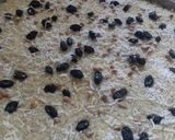 ખીચડો (Khichdo Recipe In Gujarati) રેસીપી સ્ટેપ3ફોટો