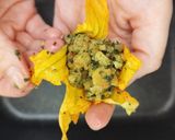 Foto del passaggio 5 della ricetta Fiori di zucca ripieni