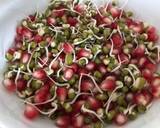 Sprouts recipe step 3 photo