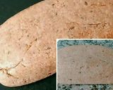 Foto del paso 5 de la receta: Pan 🍞 Integral Multisemillas