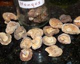 Foto del paso 3 de la receta: Conejo al vino tinto con hongos secos