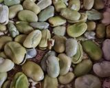Foto del paso 4 de la receta: Habas tiernas salteadas con ajo 🫛🫒🧄🧂