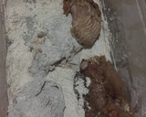 A picture of step 2 of KFC chicken 🍗.
