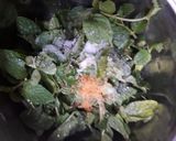 A picture of step 2 of Mint Raita.