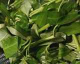 Foto langkah ke 1 dari resep Tumis Kangkung Belacan dengan Udang Segar.
