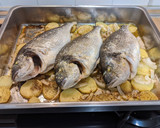 Foto del paso 3 de la receta: Doradas al horno