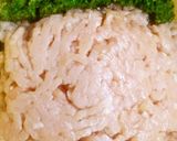 A picture of step 1 of Kafta (meatballs with herbs and spices).