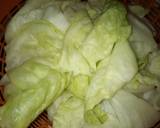 Cabbage rollmatakin girki1 hoto