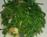 รูปขั้นตอนการทำที่ 3 ของ ยอดผักกูดผัดเต้าเจี้ยว (Stir-fried Fiddlehead Fern with Salted Soybeans)