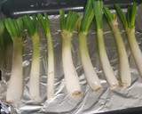 Foto del paso 1 de la receta: Calçots al horno