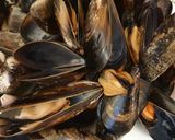 Foto del paso 2 de la receta: Fideos con mejillones