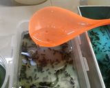Foto langkah ke 10 dari resep Nutrijel 2 lapis anti ribet.