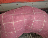 Foto del paso 8 de la receta: Pan dulce sin frutas