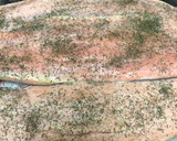 Foto del paso 1 de la receta: 287. Salmón salvaje con salsa de yogurt (principal pescado)