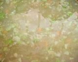 સ્વીટ કોર્ન સૂપ (Sweet Corn Soup recipe in Gujarati) રેસીપી સ્ટેપ4ફોટો