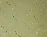 Foto del paso 5 de la receta: Masa de tarta sin gluten