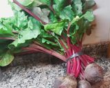 Foto del paso 1 de la receta: Hojas de remolacha (para relleno o como guarnición)