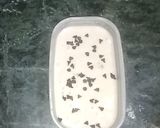 A picture of step 3 of Frozen Instant Banana Ice-cream.