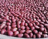 A picture of step 9 of Njugu karanga (roasted peanuts).