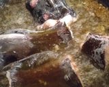 A picture of step 2 of Fish soup.